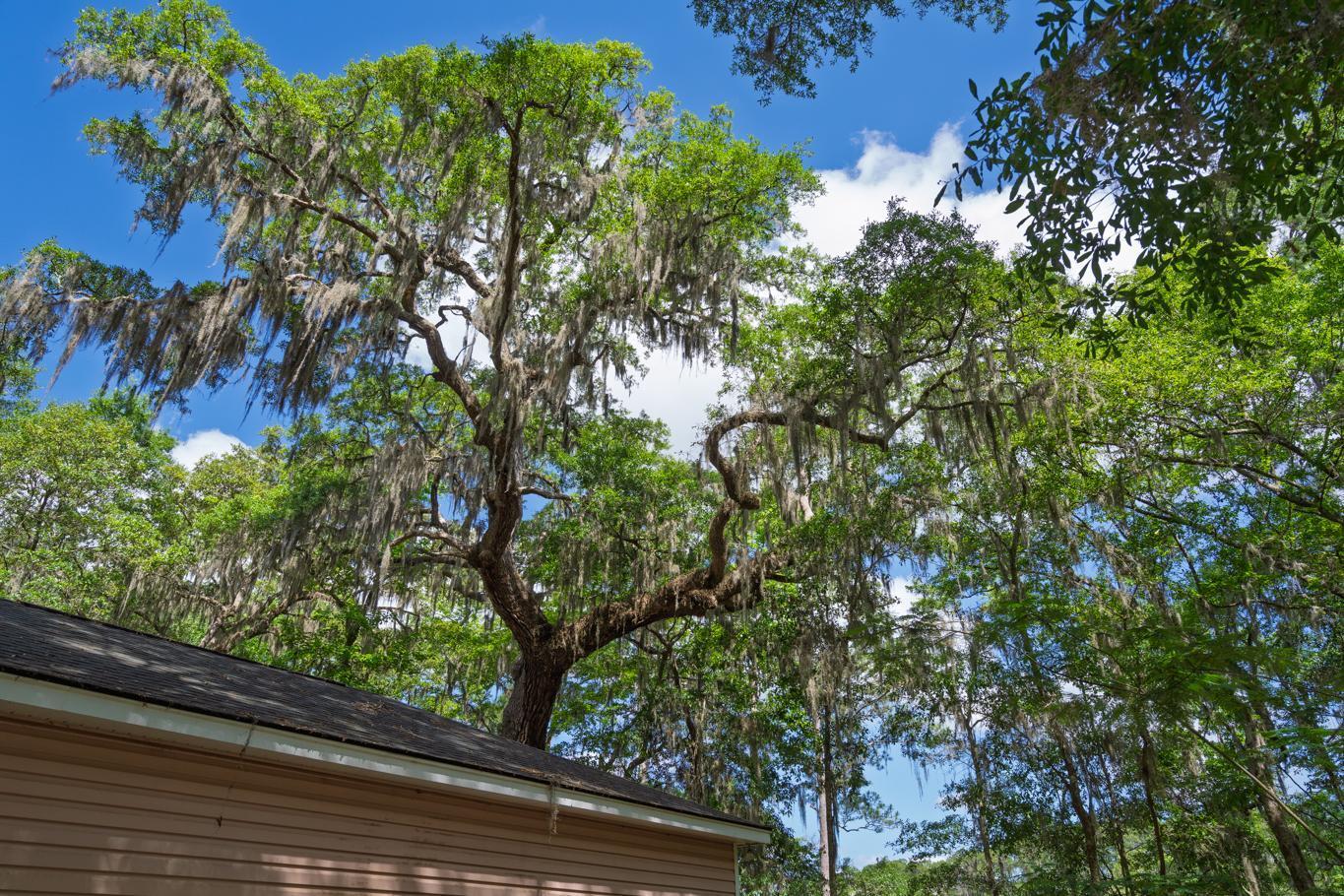 8362 Chisolm Plantation Road