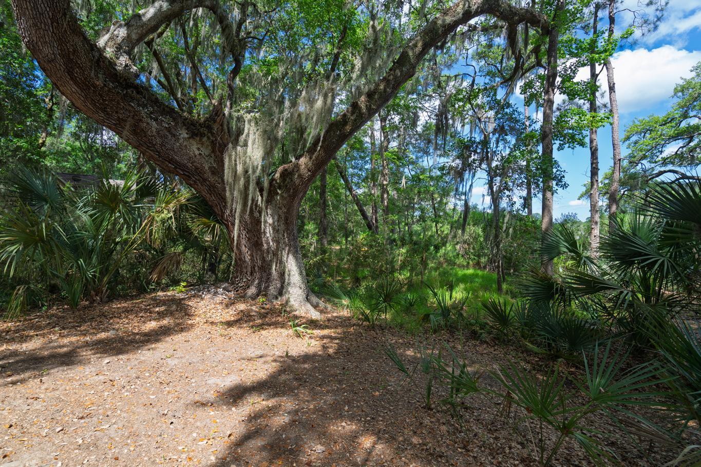 8362 Chisolm Plantation Road