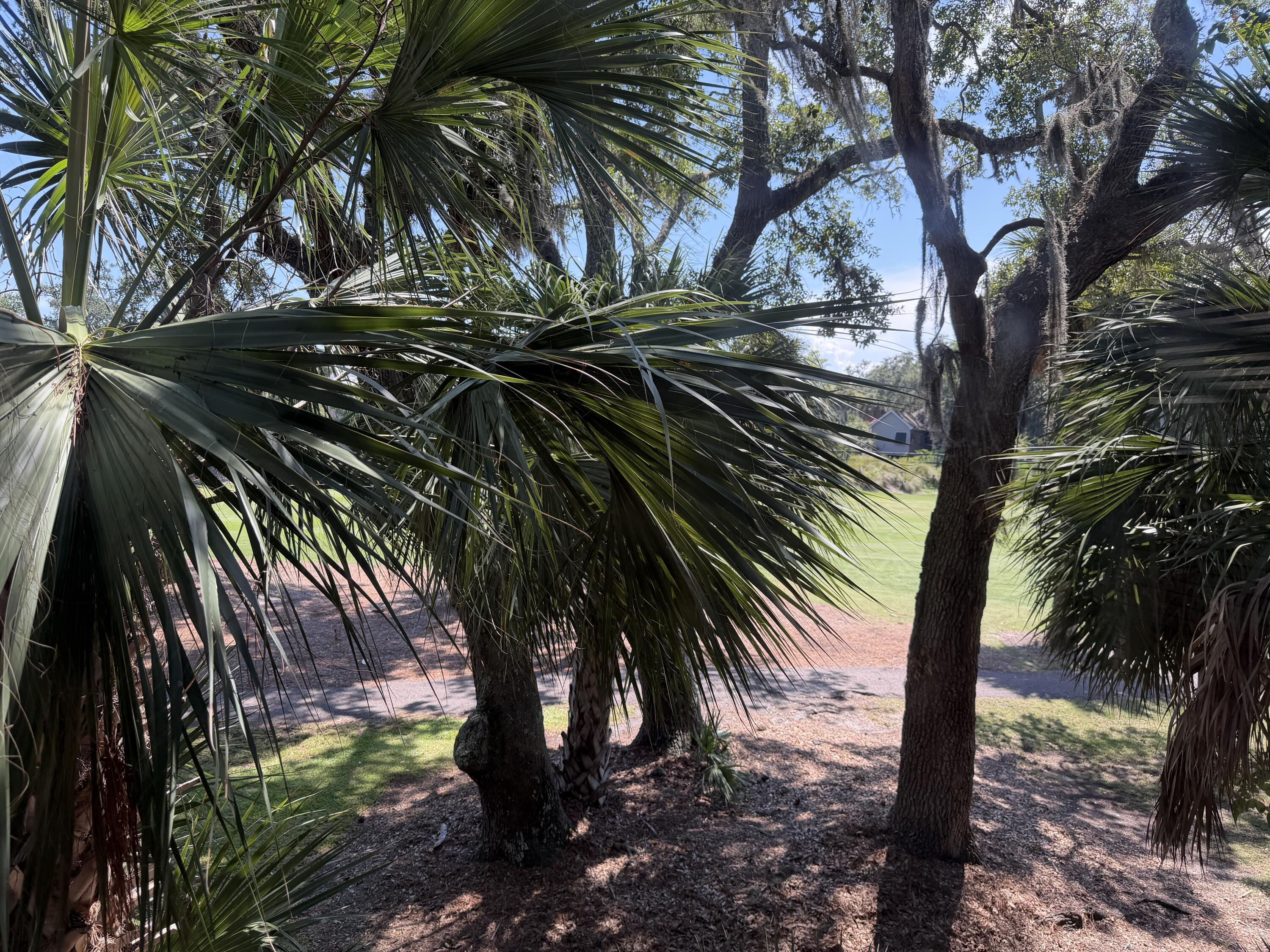 841 Club Cottage # 4 Unit: Share #4