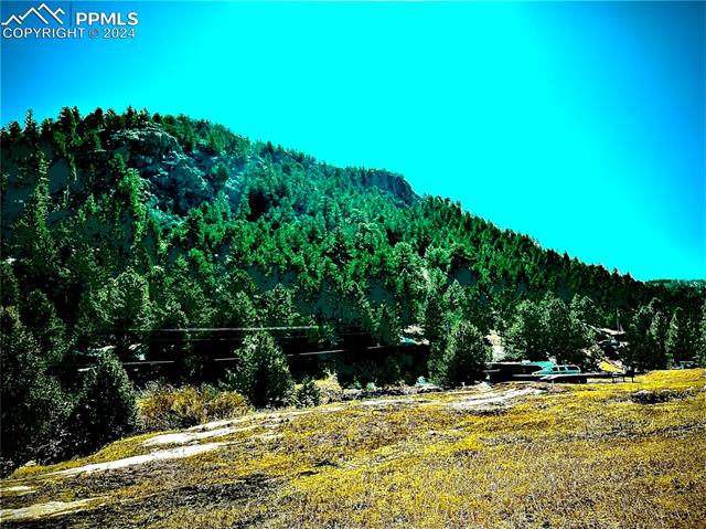 000 Teller County Road 1