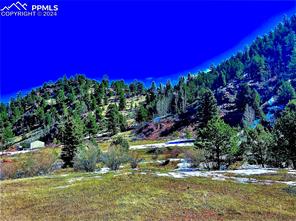 000 Teller County Road 1