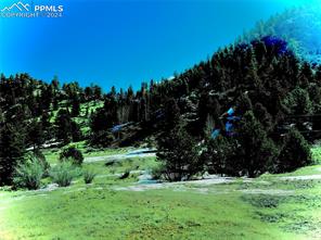 000 Teller County Road 1