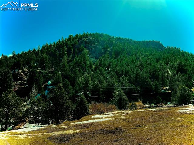 000 Teller County Road 1