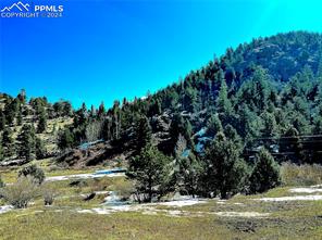 000 Teller County Road 1