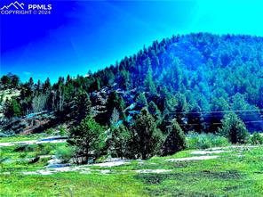 000 Teller County Road 1