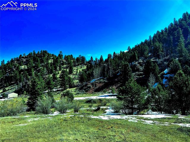 000 Teller County Road 1