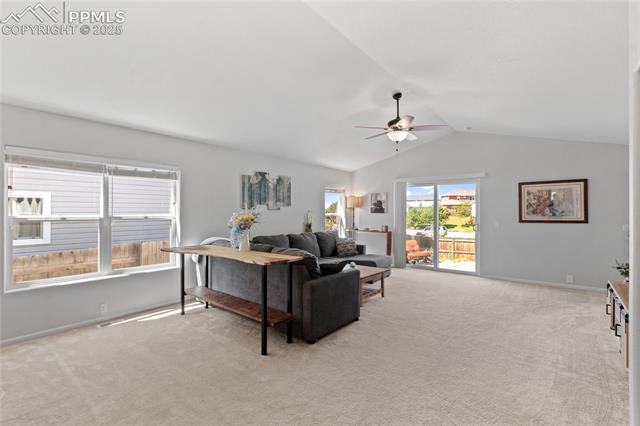 6534 Harvey Lane