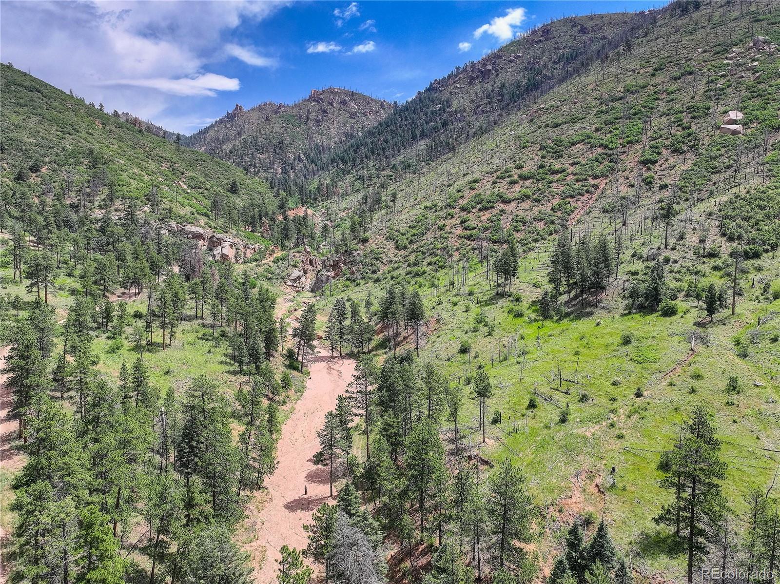 5975 Wellington Road