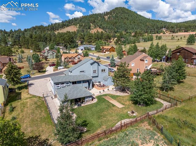 540 Black Bear Trail