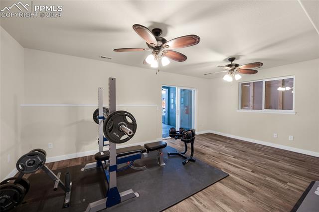 540 Black Bear Trail