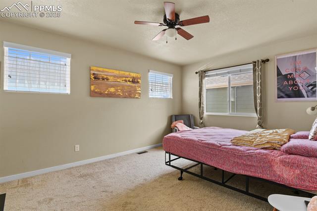 11237 Scenic Brush Drive