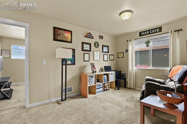 11237 Scenic Brush Drive