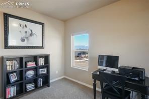 19703 Serenity Springs Point