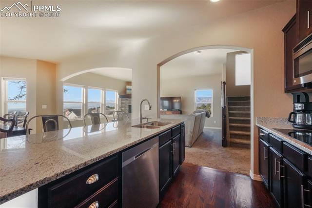 19703 Serenity Springs Point