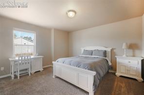 19703 Serenity Springs Point