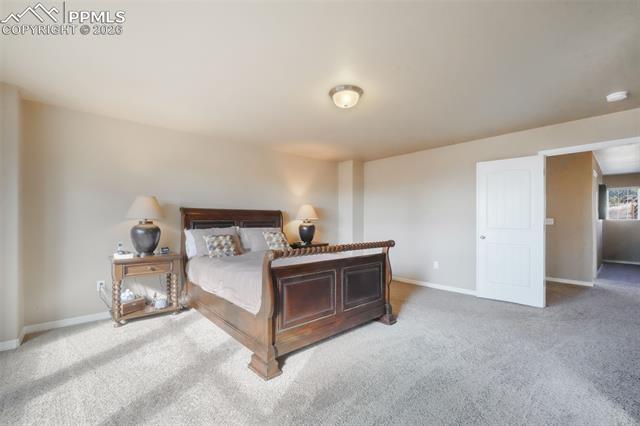 19703 Serenity Springs Point