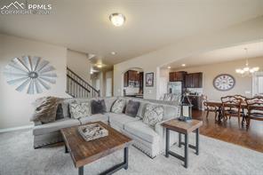 19703 Serenity Springs Point