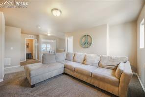 19703 Serenity Springs Point