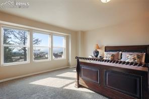 19703 Serenity Springs Point