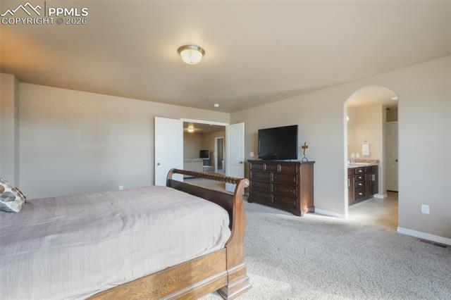19703 Serenity Springs Point