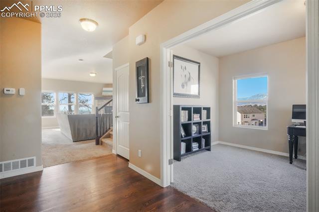 19703 Serenity Springs Point
