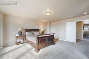 19703 Serenity Springs Point