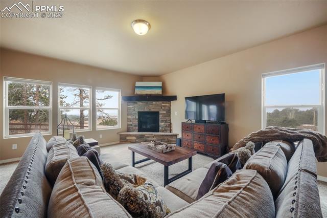 19703 Serenity Springs Point