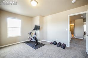 19703 Serenity Springs Point