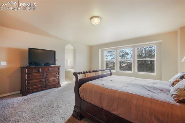19703 Serenity Springs Point