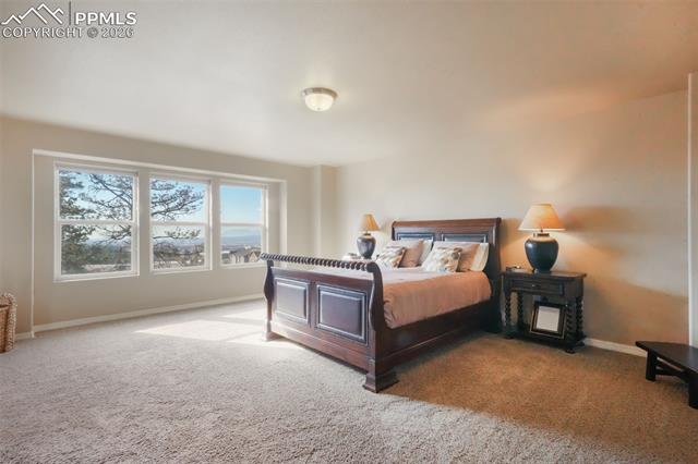 19703 Serenity Springs Point