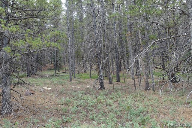 Parcel 2b County Road 9