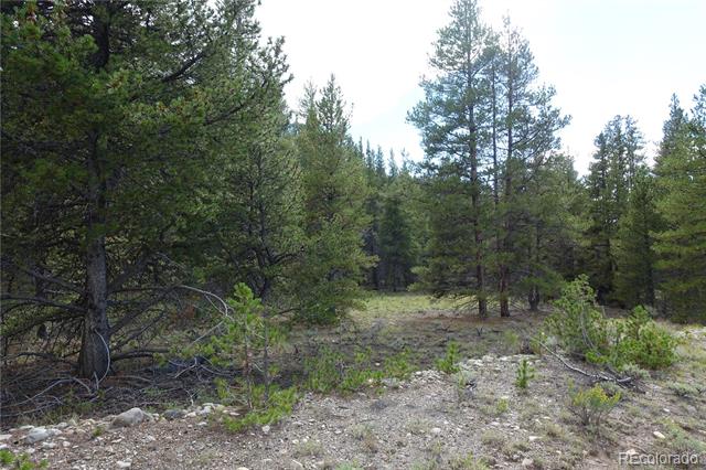Parcel 2b County Road 9