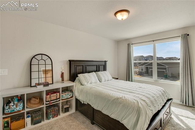 4013 Patterdale Place