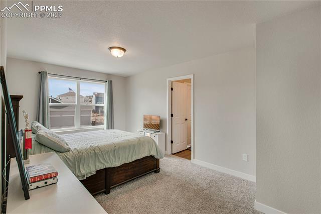 4013 Patterdale Place