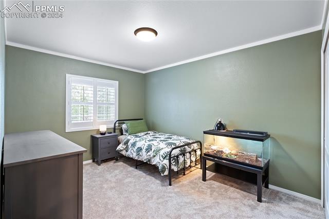 14114 Tern Drive