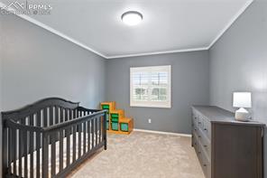 14114 Tern Drive
