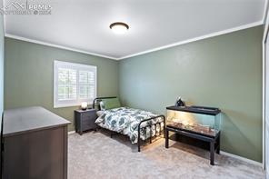 14114 Tern Drive