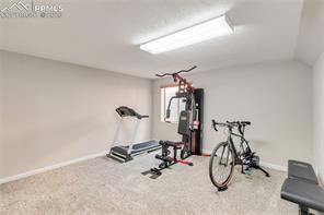 205 Tamarron Drive
