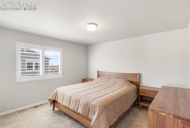 7408 Rufous Fronted View