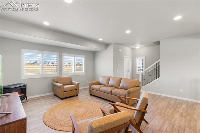 7408 Rufous Fronted View