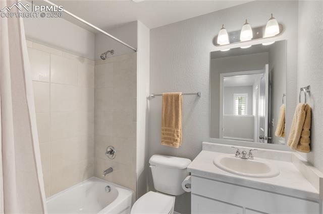 7408 Rufous Fronted View