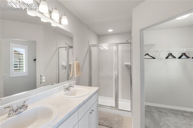 7408 Rufous Fronted View