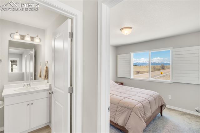 7408 Rufous Fronted View