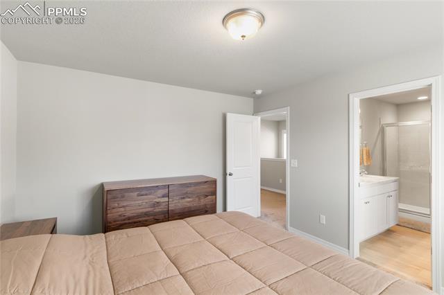 7408 Rufous Fronted View