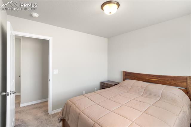 7408 Rufous Fronted View