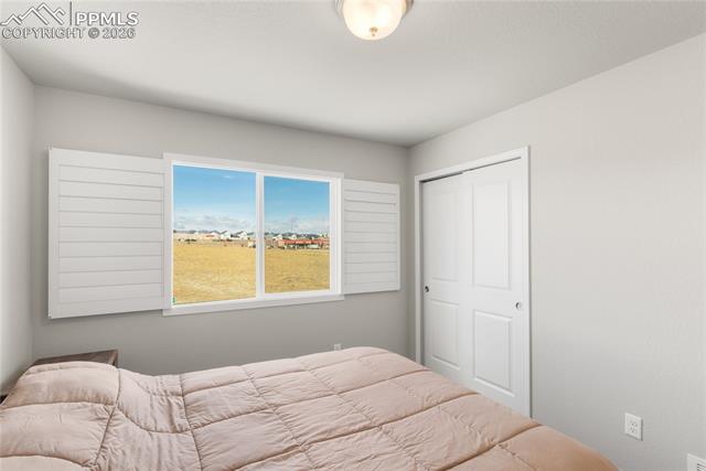 7408 Rufous Fronted View