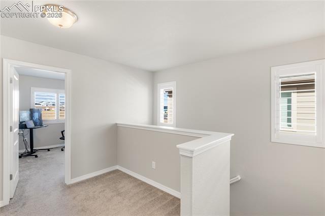 7408 Rufous Fronted View