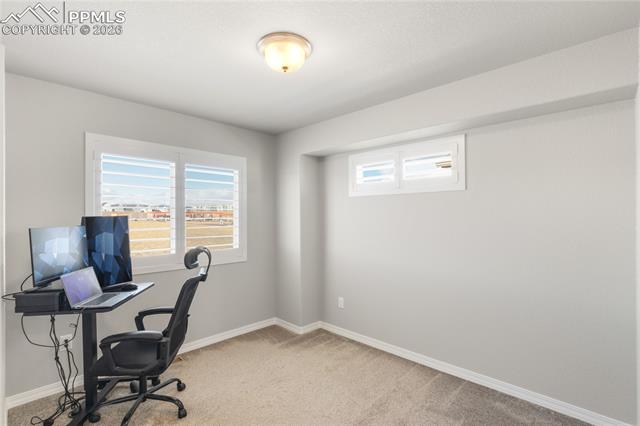 7408 Rufous Fronted View