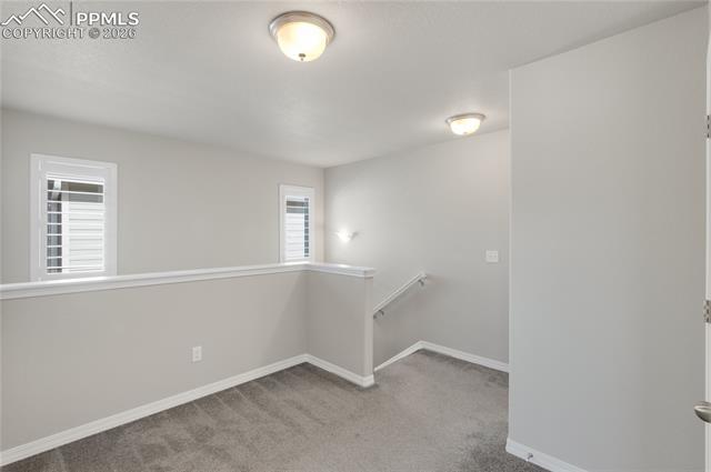 7408 Rufous Fronted View