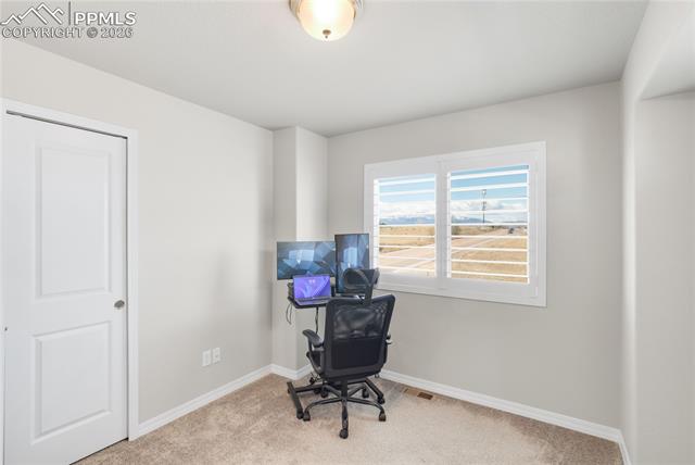 7408 Rufous Fronted View